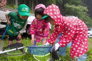 子供達は、雨の中、バッタやカエルなど生き物調査