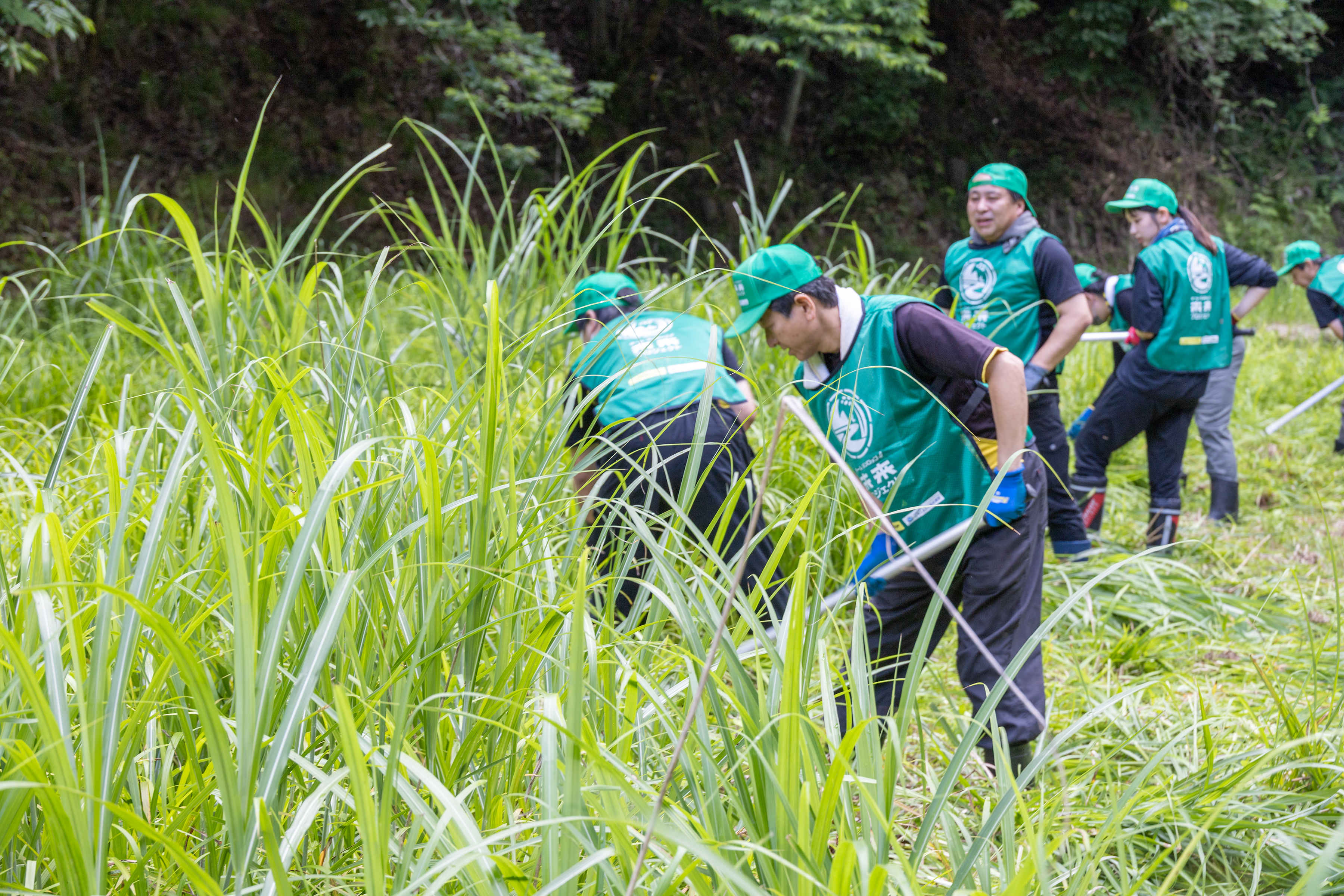 草刈り・泥上げ作業