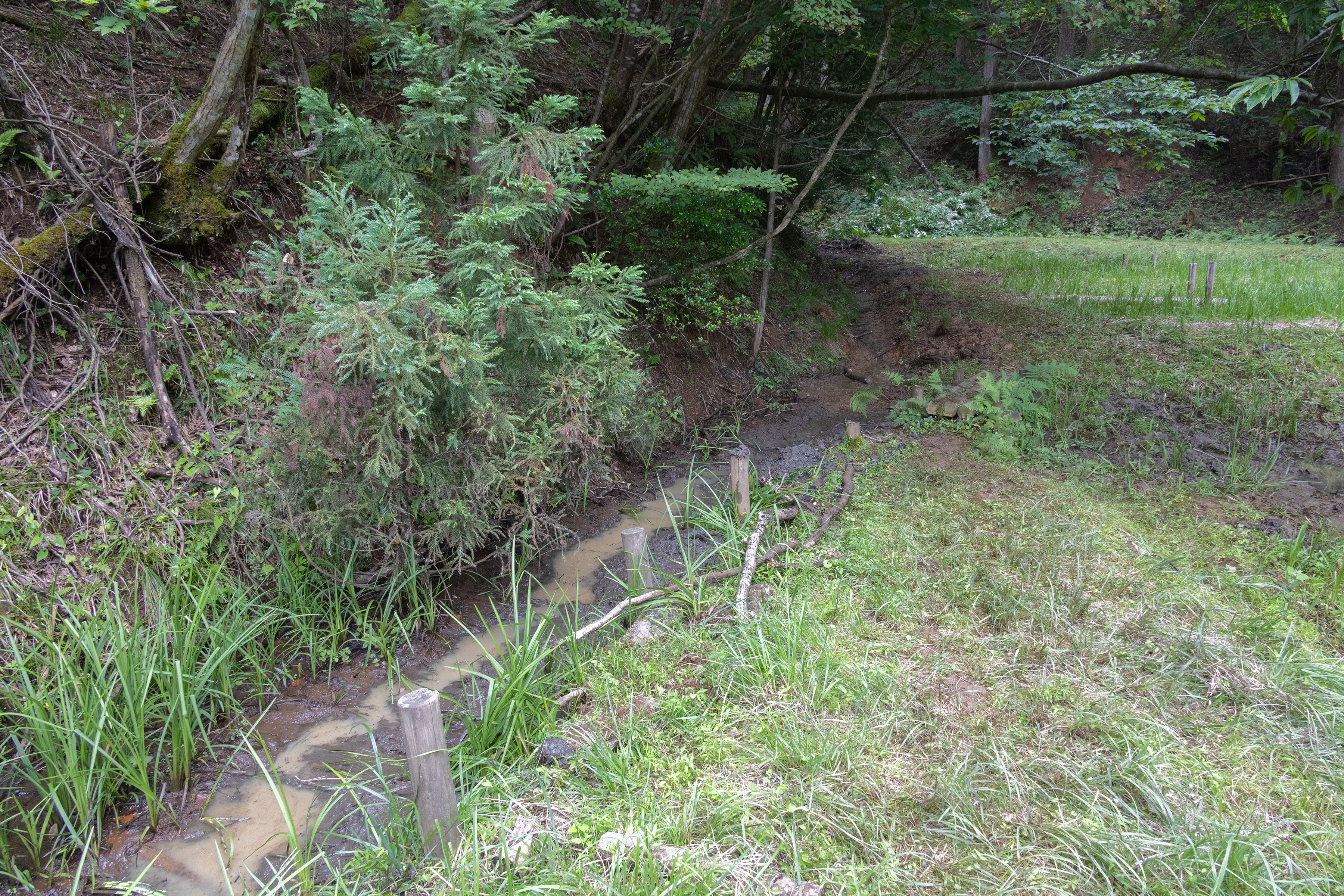 立派な水路ができました
