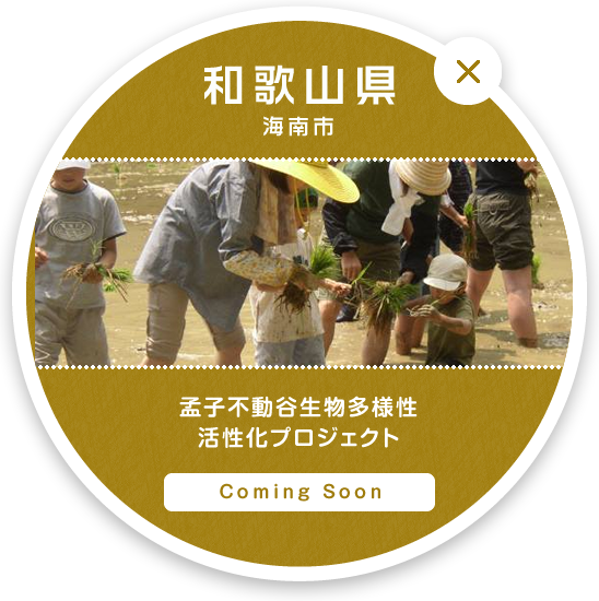 和歌山県 海南市 | 孟子不動谷（もうこふどうだに）生物多様性活性化プロジェクト