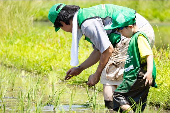 田んぼの除草作業