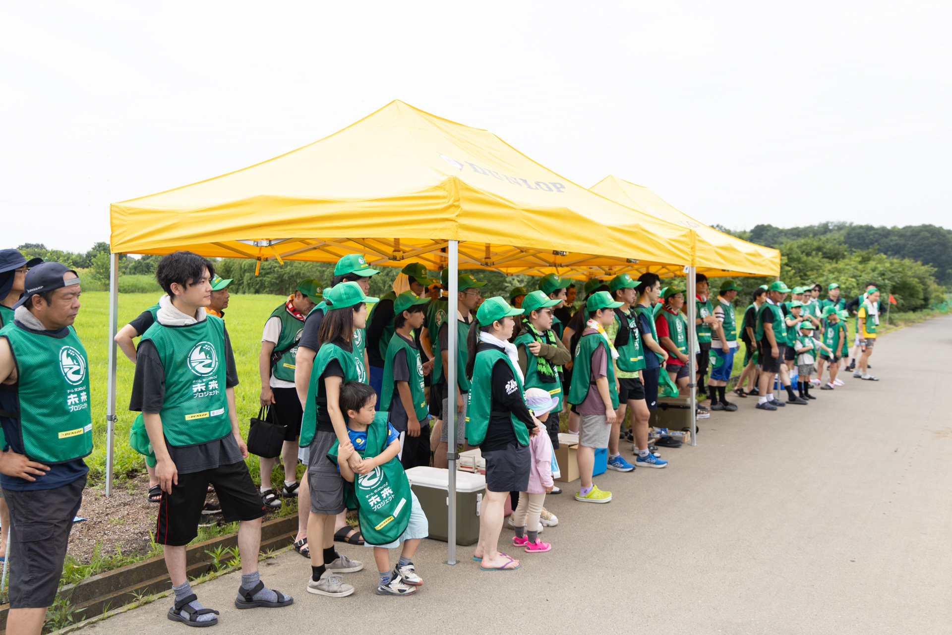 水田の草取り作業