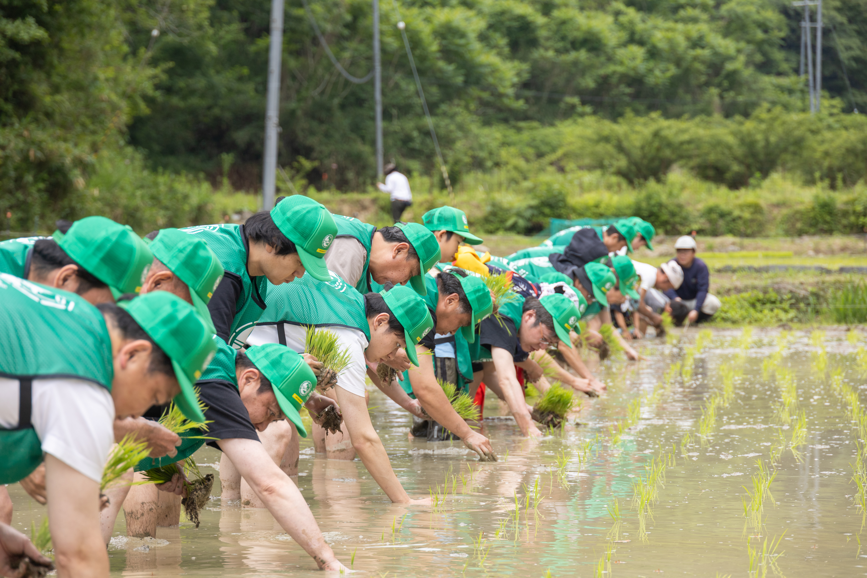 自然回復を試みる会・ビオトープ孟子