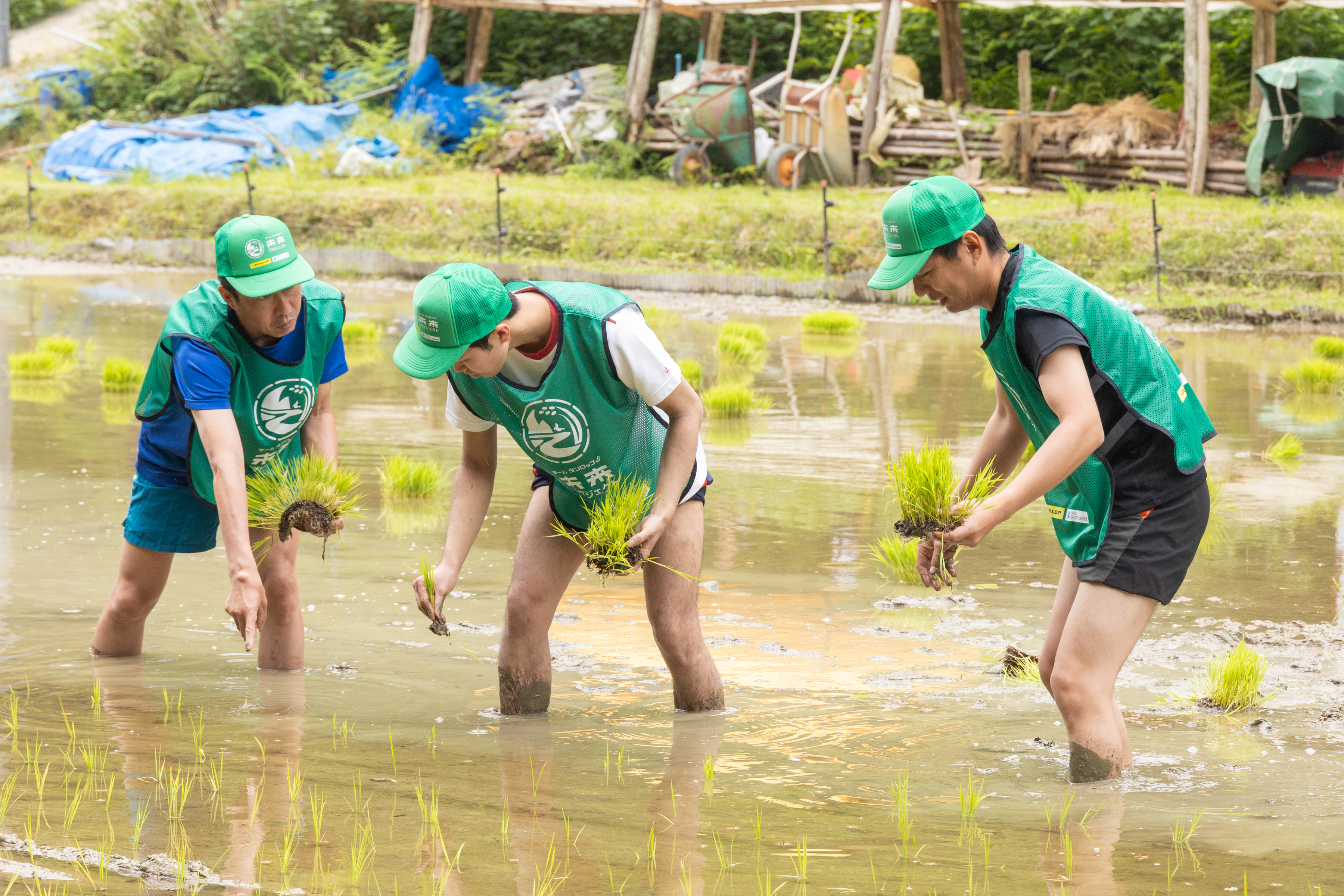 泥だらけになりながら田植え