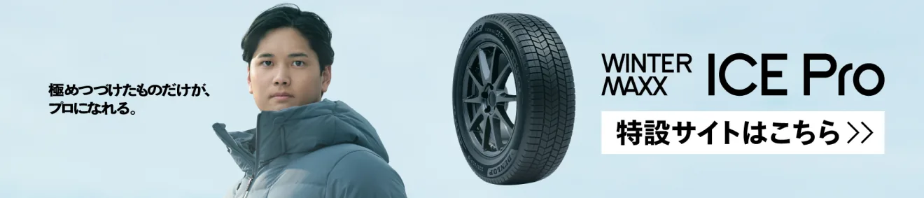 極めつづけたものだけが、プロになれる。WINTER MAXX ICE Pro 特設サイトはこちら