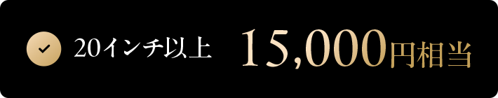 20インチ以上 15,000円相当